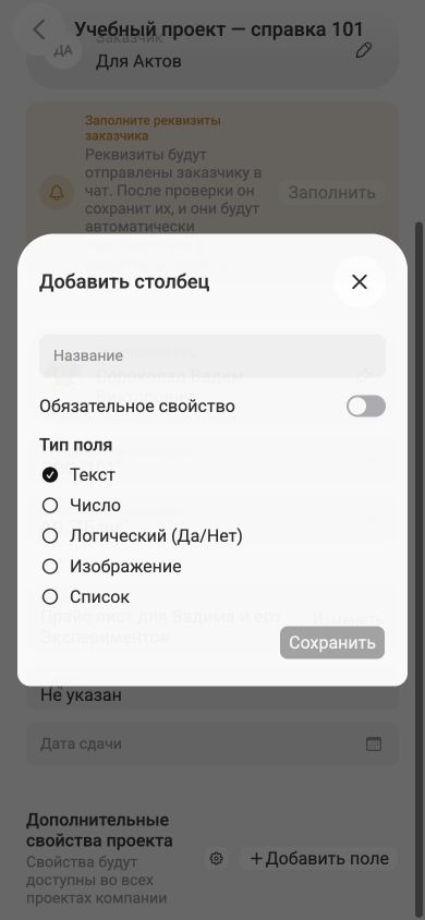 Форма создания дополнительного свойства проекта с названием, обязательностью и выбором типа